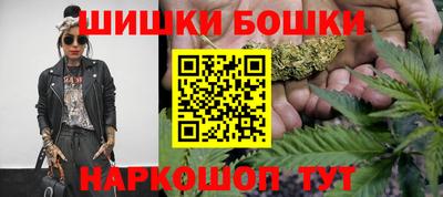 мдпв Гатчина