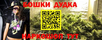 мдпв Гатчина