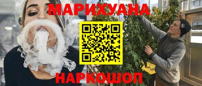мдпв Гатчина