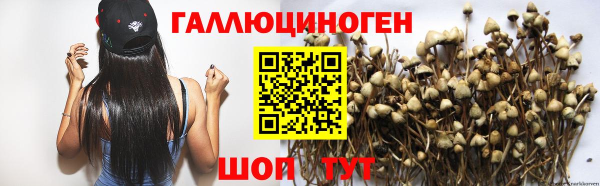 Галлюциногенные грибы Psilocybe  Вход с VPN  как найти наркотики  Скопин 